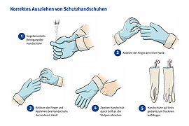 Grafik zeigt schrittweise das korrekte Ausziehen von Schutzhandschuhen.