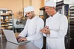 Lächelnde Bäcker arbeiten zusammen am Laptop