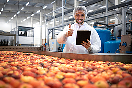 Technologe zeigt Daumen hoch in der Lebensmittelfabrik und überprüft die Qualität von Apfelfrüchten