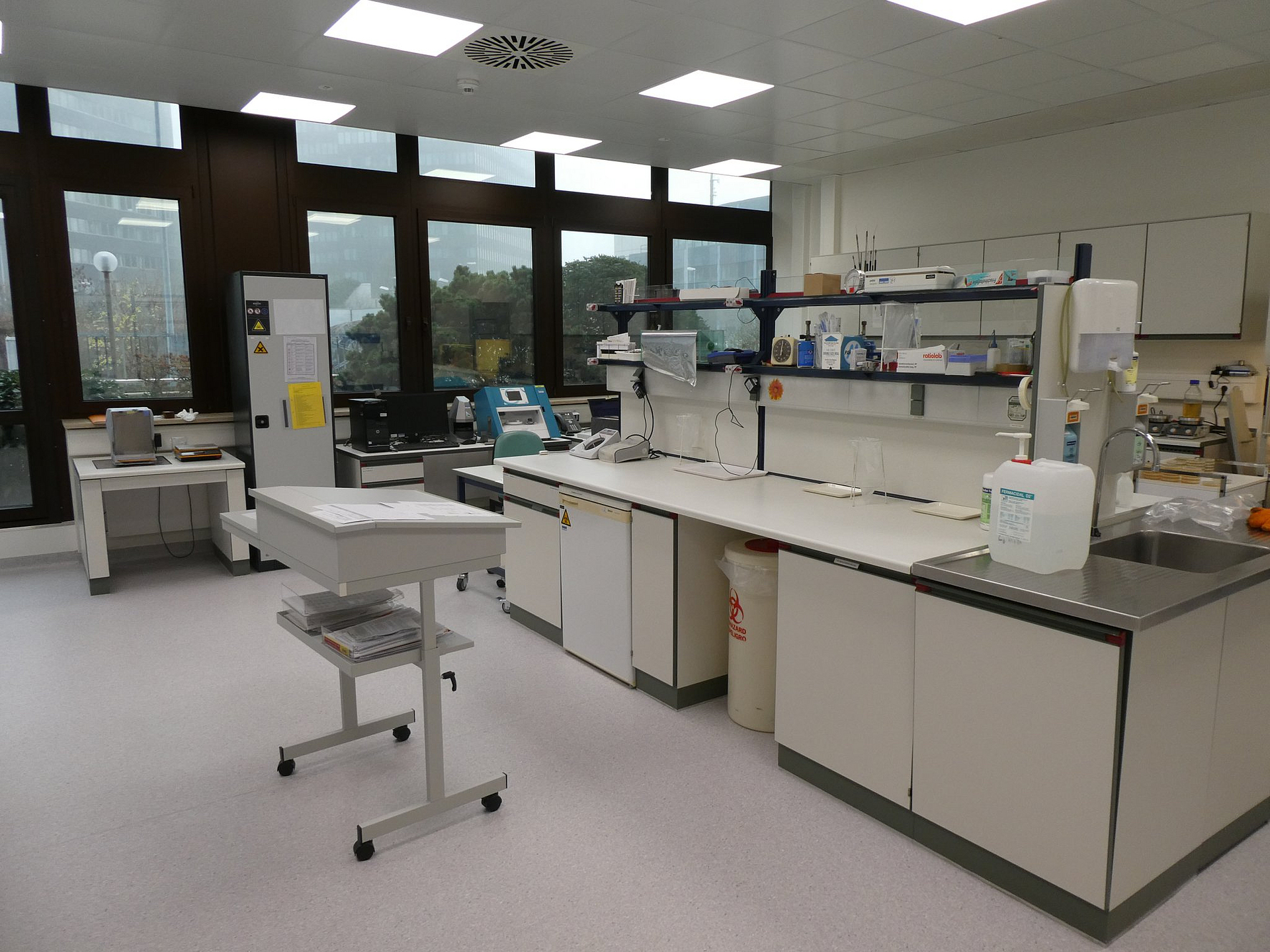 Blick in das Labor Mikrobiologie und Betriebshygiene des BGN Zentrallabors.