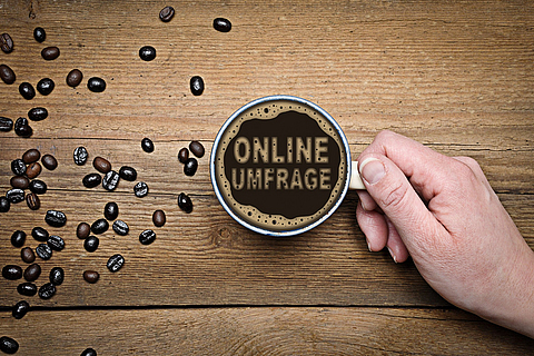 Online-Umfrage