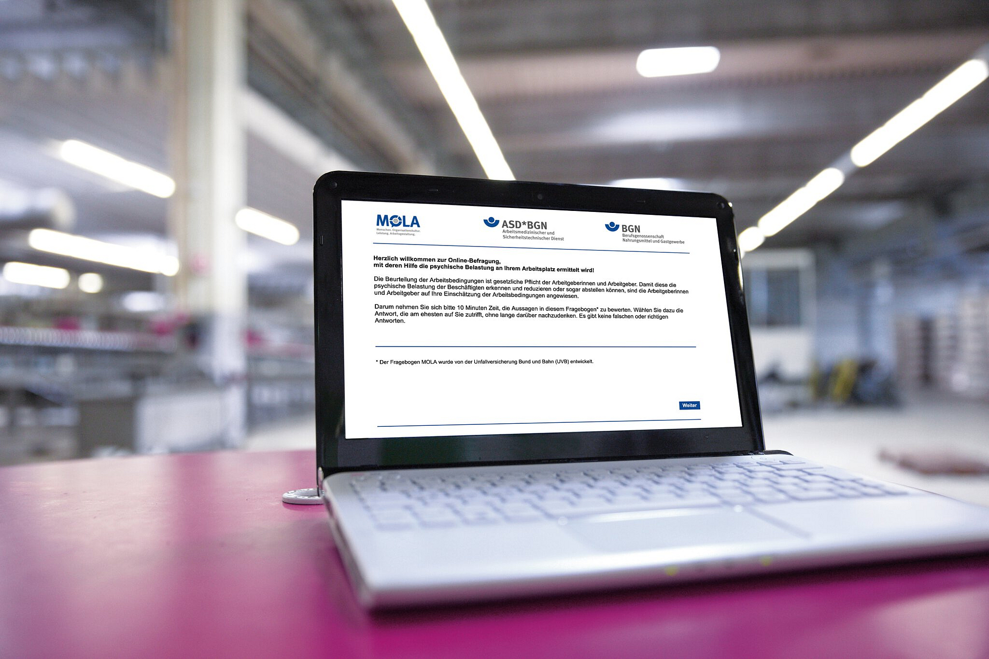 Offenes Laptop mit der Startseite MOLA