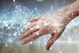 Hautangriffe, Hautschutz Aktion